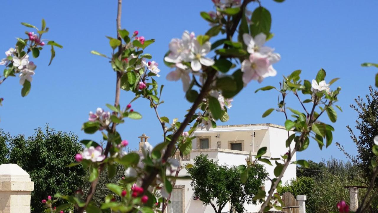 Le Fogge Guest House Fasano Ngoại thất bức ảnh